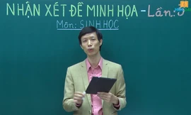 Clip gợi ý, nhận xét giải đề thi thử nghiệm THPT 2017 môn Sinh học