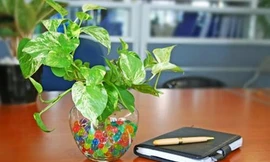 Những thay đổi nhỏ để hút tài lộc vào nhà trong năm mới