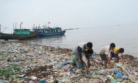 Bức bí nơi cửa bể