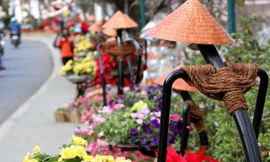 Độc đáo hoa ở Festival hoa Đà Lạt