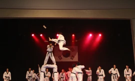 Các màn trình diễn Taekwondo ngoạn mục