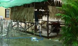 Hiện trường vụ án mạng