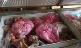 Phòng Cảnh sát Môi trường tiến hành kiểm tra các thùng đông lạnh chứa thịt bẩn