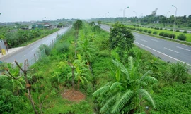 Thành phố Hà Nội cắt giảm 40,38% kinh phí đặt hàng thường xuyên lĩnh vực duy trì công viên, cây xanh.