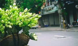 Hà Nội tăng nhiệt, trời oi bức nhẹ