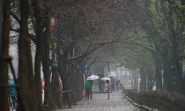 Bắc Bộ nhiều mây âm u, mưa rào và dông vài nơi