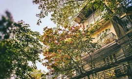 Thời tiết 21/3: Hà Nội tăng nhiệt, trời chuyển nắng