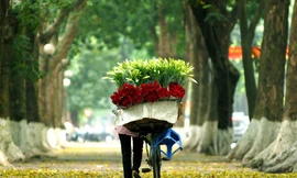 Hà Nội ngày nắng, đêm không mưa