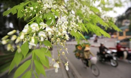 Hà Nội ngày nắng, đêm và sáng sớm trời lạnh