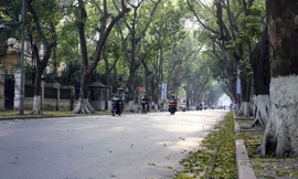 Bắc Bộ giảm mây, trời hửng nắng