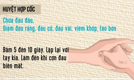 [ĐỒ HỌA] Bấm huyệt giảm các cơn đau