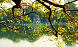 Ngày đầu năm mới: Bắc Bộ hửng nắng