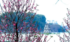 Ngày sát tết Miền Bắc ấm dần, miền Nam nắng ráo