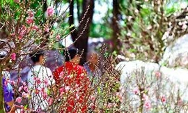 Miền bắc không khí lạnh suy yếu, nhiệt tăng nhẹ