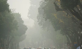 Hà Nội chìm trong sương mù dày đặc, đề phòng bệnh hô hấp