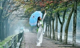 Hà Nội có mưa nhỏ về đêm và sáng sớm