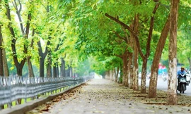 Hà Nội hửng nắng, Nam Bộ mưa dông