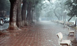 Hà Nội sương mù lẫn mưa phùn, Miền Nam 30-32 độ C