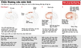 [ĐỒ HỌA] Chấn thương não mãn tính