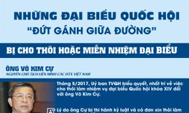 Những đại biểu Quốc hội 'đứt gánh giữa đường'