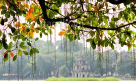 Hà Nội, TP Hồ Chí Minh nắng đẹp ngày cuối tuần