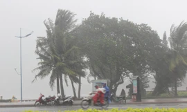 Mưa lớn diện rộng ở khu vực Trung bộ và Đông Nam bộ