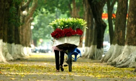 Không khí lạnh suy yếu, Bắc Bộ trưa chiều giảm mây, trời nắng