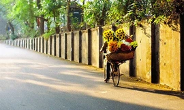 Hà Nội nắng sớm, nhiệt cao 37 độ C