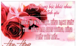 Nên tặng hoa gì vào 8/3?