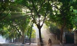 Sáng sớm sương mù nhẹ, ngày nắng ráo