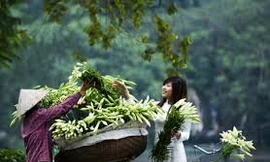 Hà Nội sớm có sương mù, Sài Gòn nắng nóng