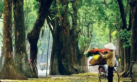 Hà Nội không mưa, giảm mây trời nắng