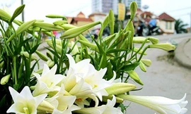 Đêm nay ở Bắc Bộ còn có mưa rải rác