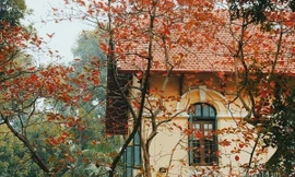 Bắc Bộ rét về đêm và sáng, trưa chiều hửng nắng