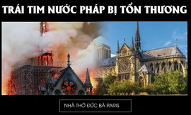 Trái tim nước Pháp bị tổn thương