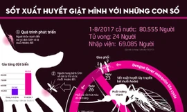 ĐỒ HỌA: Giật mình với số ca sốt xuất huyết vào viện mỗi tuần