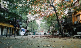 Bắc Bộ có mưa dông vài nơi