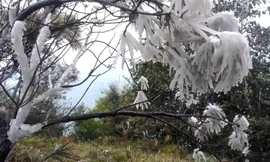 Miền Bắc rét kỷ lục, nhiều nơi băng giá