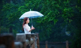 Thời tiết 8/7: Bắc Bộ có mưa rào và dông trên diện rộng