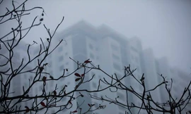 Ngày làm việc đầu tiên 2018, miền Bắc chìm trong sương mù