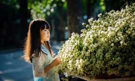 Thời tiết 18/12: Hà Nội gió đông bắc cấp 2-3, đêm và sáng trời rét