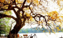 Bắc bộ tăng nhiệt, duy trì hanh khô