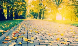 Đầu tuần miền Bắc, miền Trung trời nắng