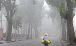 Miền Bắc nhiều mây, đêm và sáng sương mù trước khi đón rét đậm