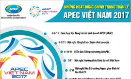 [Infographics] Những hoạt động chính trong Tuần lễ Cấp cao APEC 2017