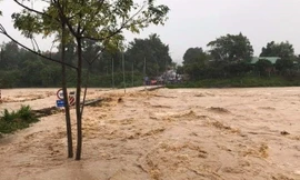 Bão số 9 gây lũ lớn trên các sông miền Nam