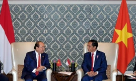Thủ tướng Nguyễn Xuân Phúc và Tổng thống Indonesia Joko Widodo trong cuộc gặp ngày 26/1. (Ảnh: VGP)