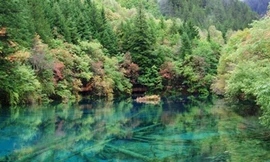 Truyền thuyết tình yêu ở Cửu Trại Câu