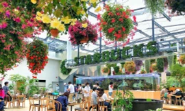 Bên trong cửa hàng Starbucks nhà kính ngàn hoa “đốn tim” các tín đồ sống ảo ở Nhật Bản