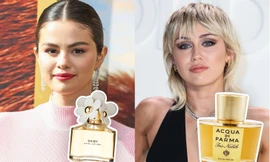 Bật mí những dòng nước hoa giúp bạn luôn cuốn hút và quyến rũ như sao Hollywood